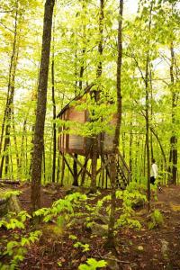 Maine Woods Treehouse-The Birdie في North Lovell: رجل يمر بجانب منزل شجرة في الغابة