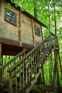 Maine Woods Treehouse-The Birdie في North Lovell: كابينة خشبية مع درج في الغابة