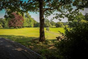 a park with a tree and a grass field at 5* Self Catering 1 Bed in Nenagh