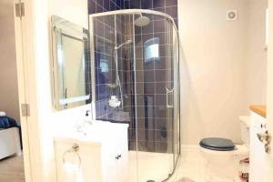 a bathroom with a shower with a toilet and a sink at 5* Self Catering 1 Bed in Nenagh