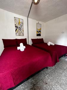 2 Betten in einem Zimmer mit roter Bettwäsche in der Unterkunft CASA MAGNOLIA in Guatemala