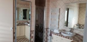 a bathroom with a sink and a mirror at Les Oliviers De Notre Dame in Mazan