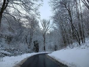 La cabane d'Hélie - Cottage en pleine forêt - Domaine du Bonsoy ในช่วงฤดูหนาว +23 ภาพ