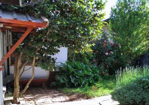 埃爾博爾松的住宿－Departamento Céntrico 3，一座花园,旁边是树和长凳