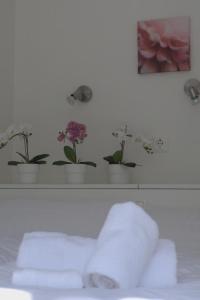 une étagère avec des plantes en pot au-dessus d'un lit dans l'établissement Hausboot Aquamarin - LP4, à Höxter