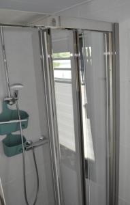 a shower with a glass door in a bathroom at Hausboot Aquamarin - LP4 in Höxter