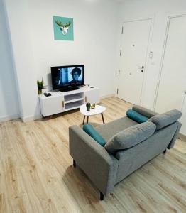 een woonkamer met een bank en een tv bij Nórdico -Apartamentos Birdie- in Albacete