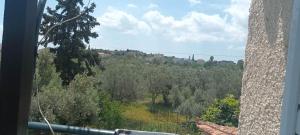 Φυσικό τοπίο κοντά σε αυτό το διαμέρισμα