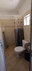 a small bathroom with a toilet and a shower at Pousada Chalet La Pink in Canoa Quebrada