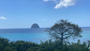 Paesaggio naturale nelle vicinanze dell'appartamento