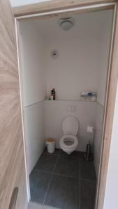 Elle comprend une petite salle de bains pourvue de toilettes. dans l'établissement Spacieux appartement au pied des pistes, à La Féclaz