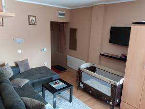 TV a/nebo společenská místnost v ubytování Apartman Ristivojevic Zlatibor