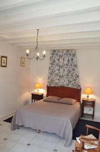 1 dormitorio con 1 cama grande y 2 lámparas en La Petite Tuilerie en Villefranche-Sur-Cher