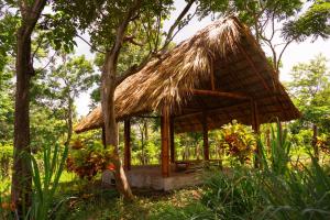a small hut with a thatched roof in a forest at Dragon's Garden in Santa Cruz
