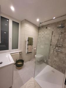 een badkamer met een douche, een toilet en een wastafel bij Chez Michèle et Philippe in Munster