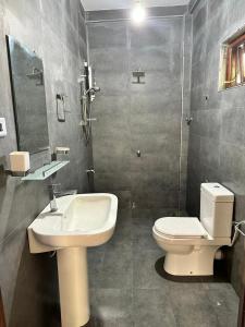 ein Badezimmer mit einem weißen Waschbecken und einem WC in der Unterkunft The Kandyan Secret Villa - Free Pick up From Kandy Railway Station in Kandy