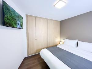 1 dormitorio con 1 cama y TV en la pared en En Pleno Centro Moderno&Práctico, 1 Plaza Parking - Andorra la Vella, en Andorra la Vella