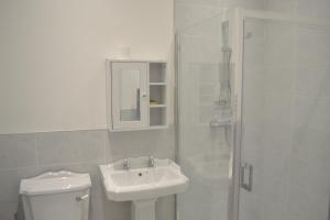 a bathroom with a toilet and a sink and a shower at Ashbrooke Homestay in Sunderland +9 photos