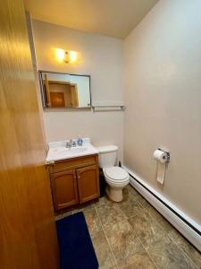 a bathroom with a toilet and a sink and a mirror at Slifer Street Studio #11 in Portage