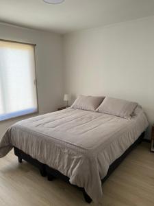 1 dormitorio con 1 cama grande en una habitación blanca en Casa en Punta Puyai, en Papudo
