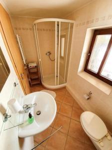 a bathroom with a sink and a shower at Ferienhaus am Waldrand mit Schwimmbad und Sauna in Strážné