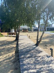 una pasarela con árboles en medio de una playa en ENERGOSFERA - Innowacyjny Ośrodek Turystyki Edukacyjnej 