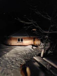 uma cabana de madeira na neve com uma árvore em Einzigartige Holzhütte em Beatenberg