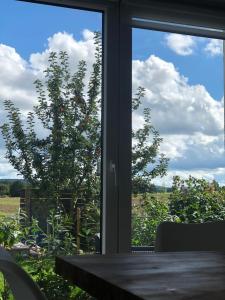 ventana con mesa y vistas a un campo en Schöfferles Ferienwohnung, en Keidelheim