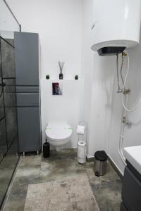 y baño blanco con aseo y ducha. en Apartament Radiana, en Băile Felix