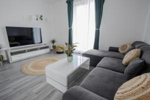 a living room with a couch and a tv at Apartament Radiana in Baile Felix