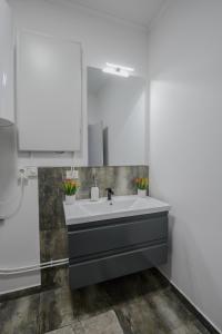 a bathroom with a sink and a mirror at Apartament Radiana in Baile Felix