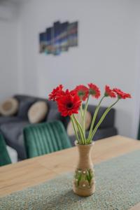 un vase avec des fleurs rouges assis sur une table dans l'établissement Apartament Radiana, à Băile Felix