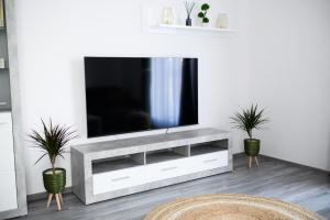 a living room with a television on a wall at Apartament Radiana in Baile Felix