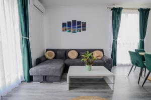 a living room with a couch and a table at Apartament Radiana in Baile Felix