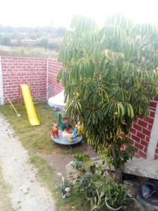 uma bananeira num quintal com uma área recreativa em Tequex em Xochimancan