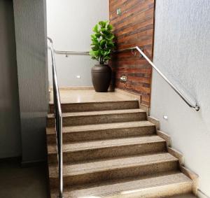 Una planta en una olla sentada en las escaleras en Itaipu Hotel en Foz de Iguazú