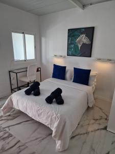 - une chambre avec 2 grands lits dotés d'oreillers bleus dans l'établissement Ático Micaela. Terraza y vistas, à Santa Cruz de Tenerife
