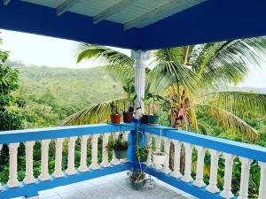 een blauw-wit balkon met een palmboom bij Casita de Campo/ Peace Cottage 