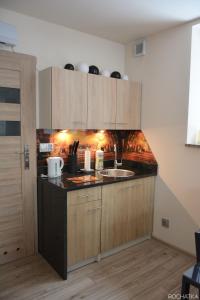 a kitchen with a sink and wooden cabinets at Rochatka in Rabka-Zdrój