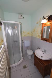 a bathroom with a shower and a toilet and a sink at Krka River Lodge in Krka