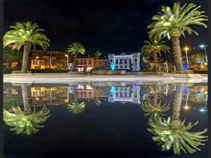 een weerspiegeling van palmbomen in het water 's nachts bij T2 Saint-Mandrier-sur-Mer in Saint-Mandrier-sur-Mer