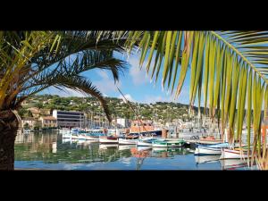 een groep boten aangemeerd in een haven met een palmboom bij T2 Saint-Mandrier-sur-Mer in Saint-Mandrier-sur-Mer