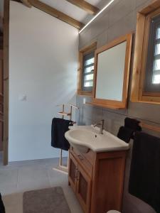 W łazience znajduje się umywalka i lustro. w obiekcie VillAnolis Martinique w mieście Le Carbet