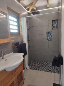 a bathroom with a sink and a shower at VillAnolis Martinique in Le Carbet