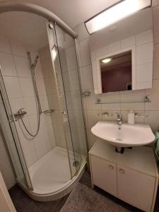 uma casa de banho com um chuveiro e um lavatório. em Ferienwohnung Brüstiblick em Attinghausen