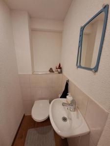 a bathroom with a sink and a toilet and a mirror at Ferienwohnung Brüstiblick in Attinghausen