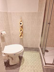 een badkamer met een toilet en een douche bij Basement Room in Mönchengladbach