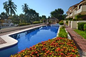 Cabo Blanco Hotel and Marina内部或周边的泳池