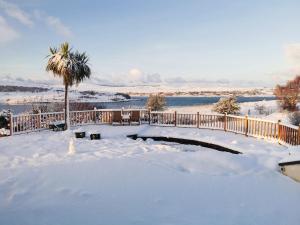 a snow covered patio with a palm tree and water at Loch Eyre Oasis in Kensaleyre