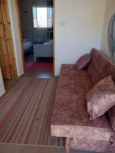 ein braunes Sofa im Wohnzimmer mit einem Teppich in der Unterkunft Studio with a spacious garden in Al-Assla in Dahab